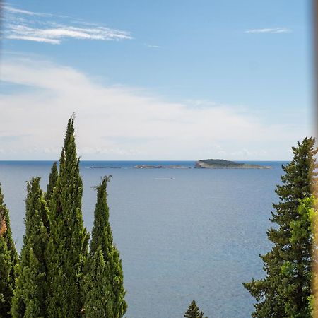 Apartments Villa Silvana Млини Екстериор снимка